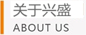 公司簡介